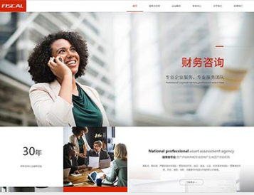 隆安金融财务
